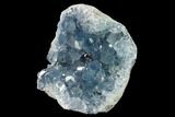 Sky Blue Celestine (Celestite) Geode Section - Madagascar #166510-3
